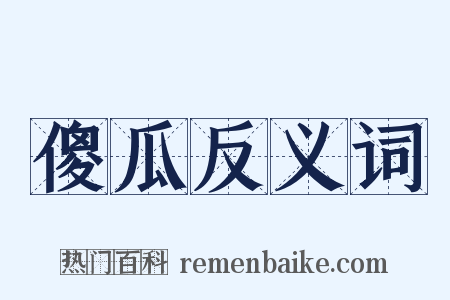 傻瓜反义词是什么意思的图片